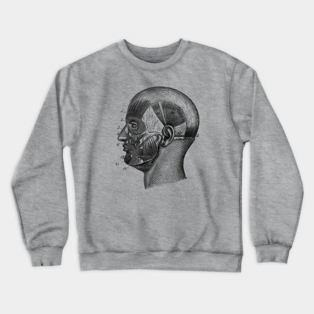 Human Skull Muscular Diagram Crewneck Sweatshirt by Vintage Anatomy Prints